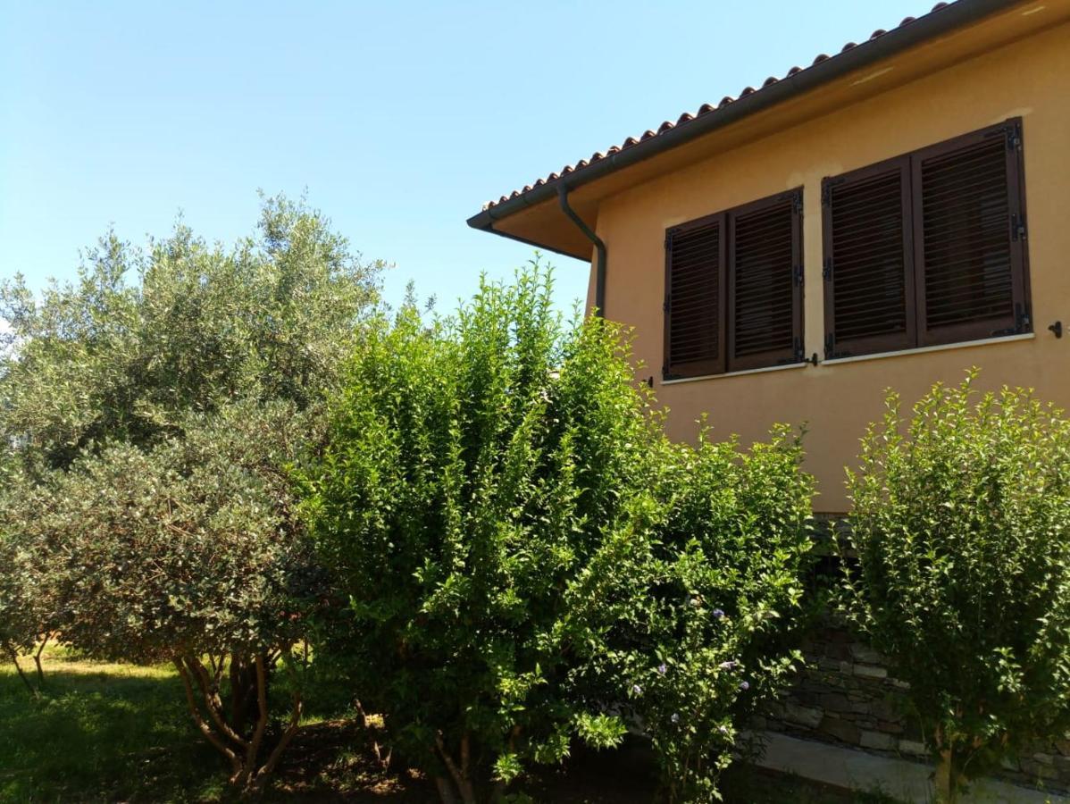 Viliam B&B Olbia Eksteriør billede